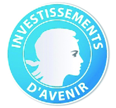 logo_IA