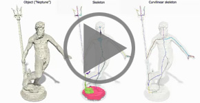 Skeletons of a same shape (our method)