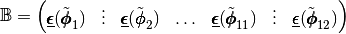 \mathbb{B}=\begin{pmatrix}
            \Odv(\tilde{\pmb{\phi}}_1)&\vdots & \Odv(\tilde{\pmb{\phi}}_2)& \hdots &
            \Odv(\tilde{\pmb{\phi}}_{11})&\vdots & \Odv(\tilde{\pmb{\phi}}_{12})
          \end{pmatrix}