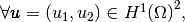 \forall \vecb{u}=(u_1,u_2)\in\HUnD{\DOM}^2,
