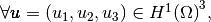 \forall \vecb{u}=(u_1,u_2,u_3)\in\HUnD{\DOM}^3,