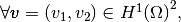 \forall \vecb{v}=(v_1,v_2)\in\HUnD{\DOM}^2,