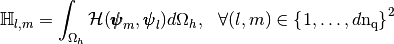 \MAT{H}_{l,m}=\int_\DOMH \mathcal{H}(\BasisFuncTwoD_m,\BasisFuncTwoD_l) d\DOMH,\ \
\forall (l,m)\in\ENS{1}{d\nq}^2