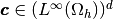 \vecb{c}\in(\LInfD{\DOMH})^{d}