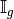 \mathbb{I}_g