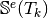 \mathbb{S}^e(T_k)