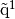 \tilde{\q}^1