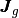 \vecb{J}_g