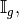 \mathbb{I}_g,