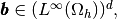 \vecb{b}\in(\LInfD{\DOMH})^{d},