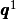 \pmb{q}^1