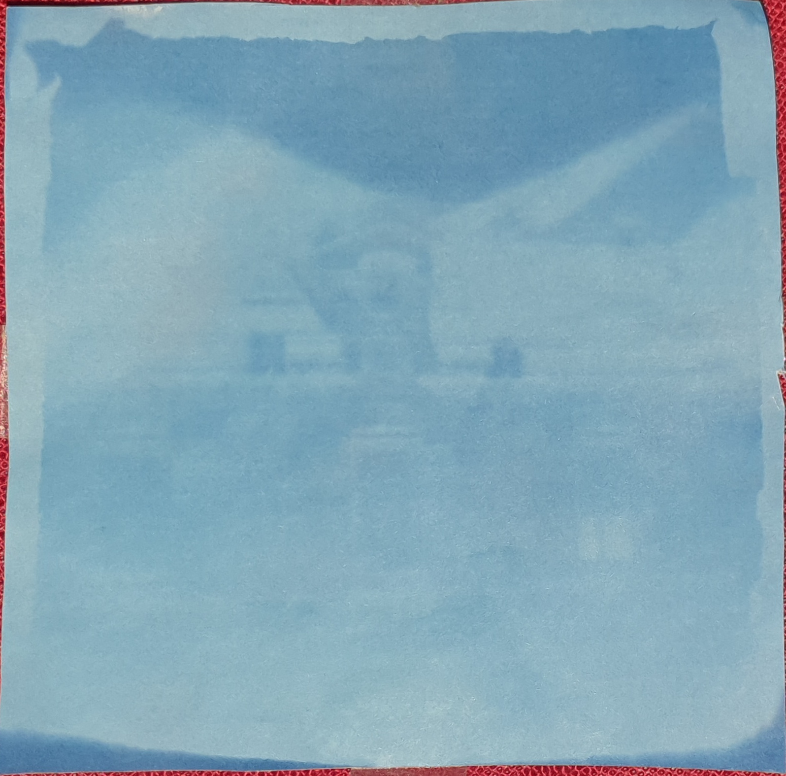 cyanotype_negatif
