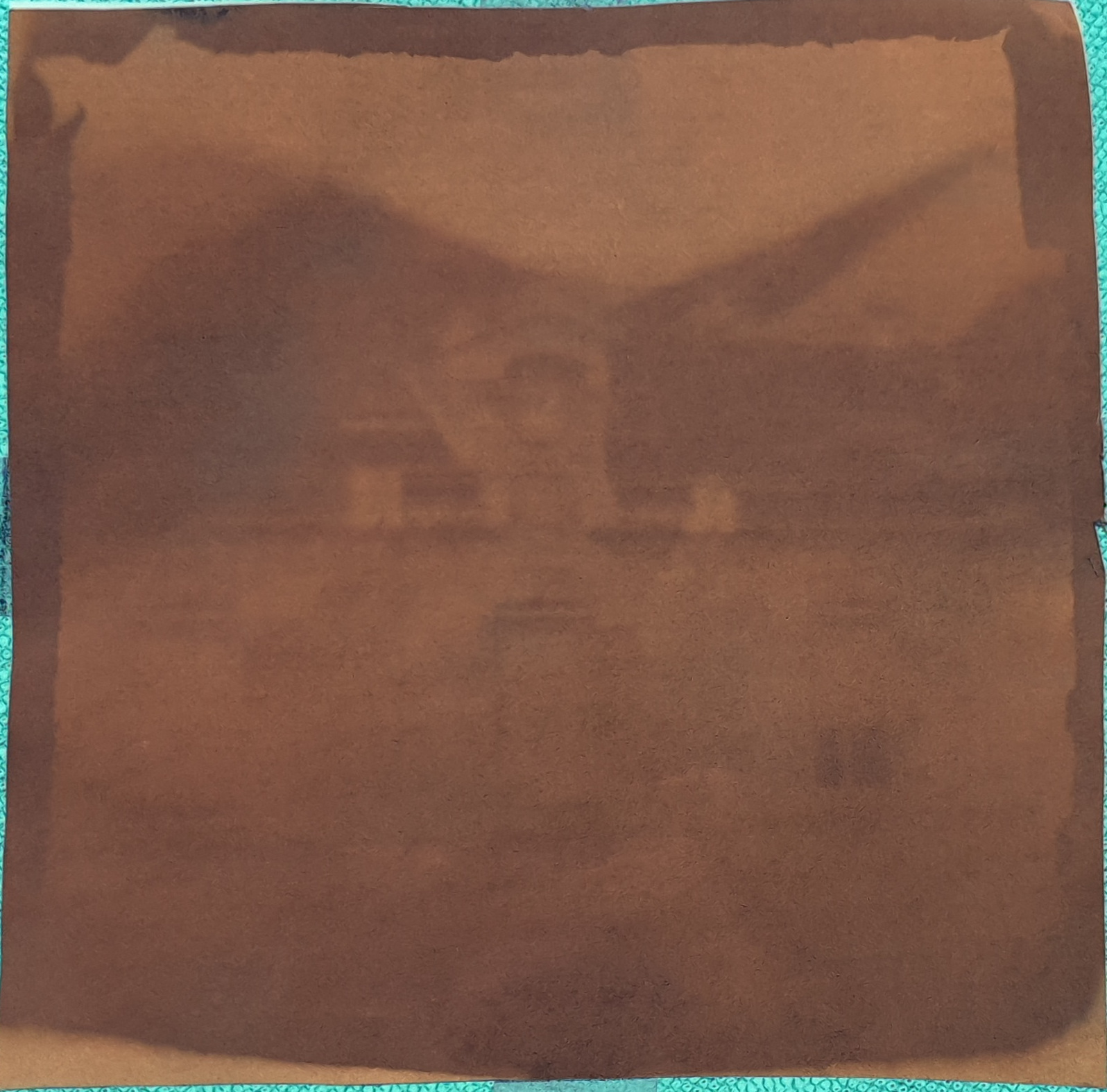 cyanotype_negatif