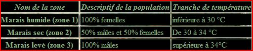 tableau
